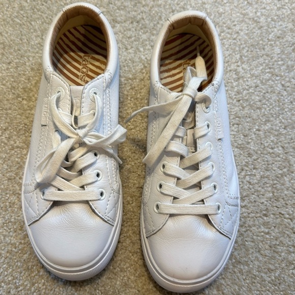 Taos Footwear Shoes - Taos Women's Plim Soul Lux Lace Up Sneakers